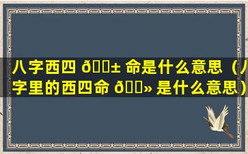 八字西四 🐱 命是什么意思（八字里的西四命 🌻 是什么意思）